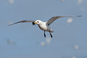 BUITEN BEELD Foto: 44692