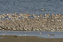 BUITEN BEELD Foto: 44704
