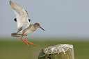 BUITEN BEELD Foto: 44721