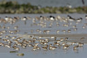 BUITEN BEELD Foto: 44738