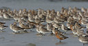 BUITEN BEELD Foto: 44758