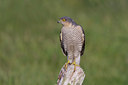 BUITEN BEELD Foto: 44760