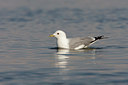 BUITEN BEELD Foto: 44764
