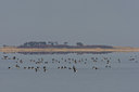 BUITEN BEELD Foto: 44788