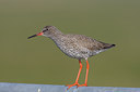 BUITEN BEELD Foto: 44790