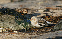 BUITEN BEELD Foto: 44791
