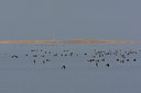 BUITEN BEELD Foto: 44900