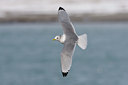 BUITEN BEELD Foto: 44955