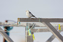 BUITEN BEELD Foto: 44965