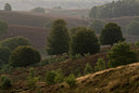 BUITEN BEELD Foto: 44998
