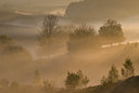 BUITEN BEELD Foto: 44999