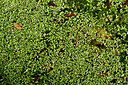 BUITEN BEELD Foto: 449000