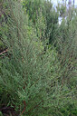BUITEN BEELD Foto: 449003
