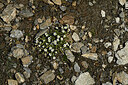 BUITEN BEELD Foto: 449005