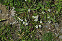 BUITEN BEELD Foto: 449006