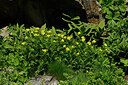 BUITEN BEELD Foto: 449007