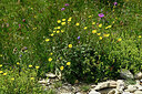 BUITEN BEELD Foto: 449008
