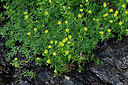 BUITEN BEELD Foto: 449010