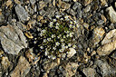 BUITEN BEELD Foto: 449012
