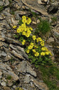BUITEN BEELD Foto: 449013