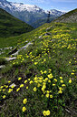 BUITEN BEELD Foto: 449014