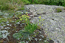 BUITEN BEELD Foto: 449015