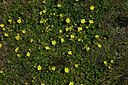 BUITEN BEELD Foto: 449018