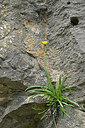 BUITEN BEELD Foto: 449021
