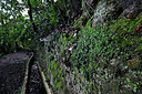 BUITEN BEELD Foto: 449022