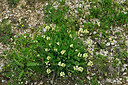 BUITEN BEELD Foto: 449023