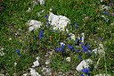 BUITEN BEELD Foto: 449024