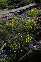 BUITEN BEELD Foto: 449025