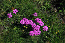 BUITEN BEELD Foto: 449026