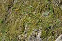 BUITEN BEELD Foto: 449027
