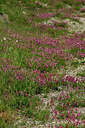 BUITEN BEELD Foto: 449028