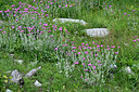 BUITEN BEELD Foto: 449032