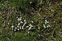 BUITEN BEELD Foto: 449034