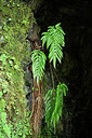 BUITEN BEELD Foto: 449035