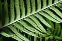 BUITEN BEELD Foto: 449037