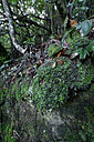 BUITEN BEELD Foto: 449040