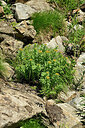 BUITEN BEELD Foto: 449044