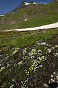 BUITEN BEELD Foto: 449048