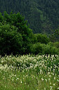BUITEN BEELD Foto: 449050