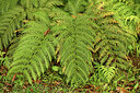 BUITEN BEELD Foto: 449051