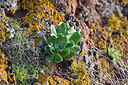 BUITEN BEELD Foto: 449055