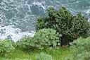 BUITEN BEELD Foto: 449058