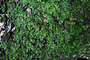 BUITEN BEELD Foto: 449060