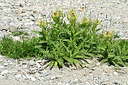 BUITEN BEELD Foto: 449061
