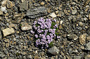 BUITEN BEELD Foto: 449062