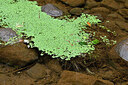 BUITEN BEELD Foto: 449064